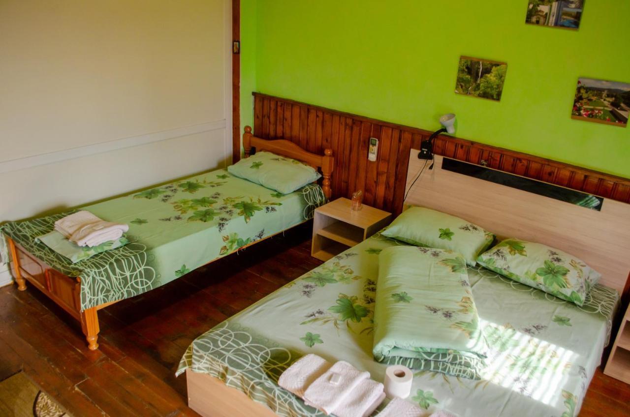 Danailovi Guest House 萨帕雷瓦巴尼亚 外观 照片