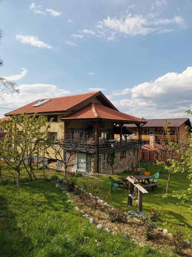 Danailovi Guest House 萨帕雷瓦巴尼亚 外观 照片